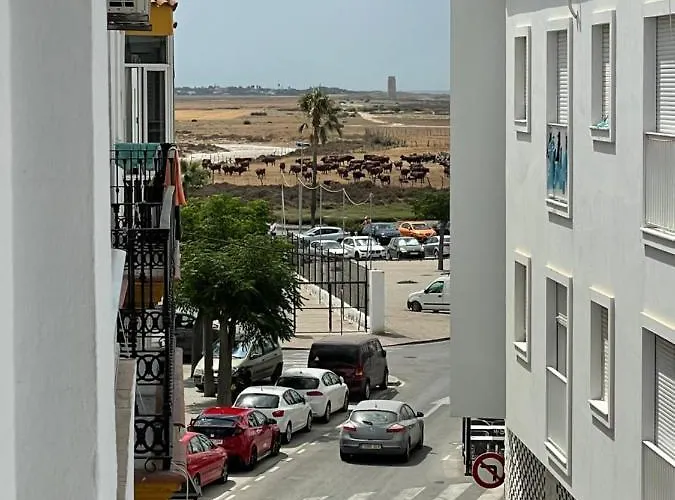 Nuevo Azorin E Apartamento Conil De La Frontera